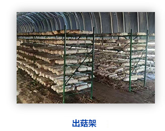 天津泰福