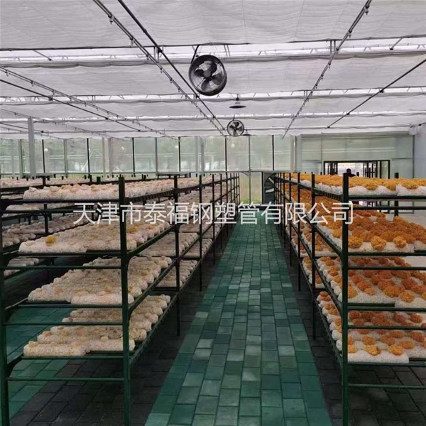 外包蘑菇架