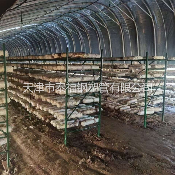 外包蘑菇架