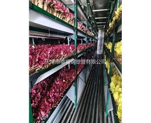 外包蘑菇架