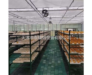 外包蘑菇架