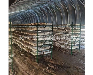 外包蘑菇架