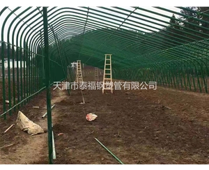 外包塑养殖大棚