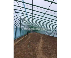 外包塑养殖大棚