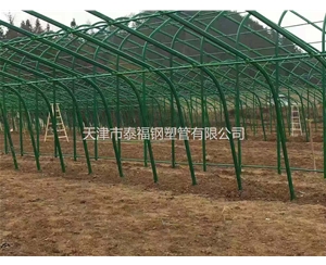 外包塑养殖大棚